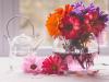 С каква помощ и как можете да запазите отрязаните цветя по-дълго във ваза?
